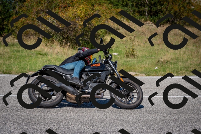 202509061241-DSC_1536_c2