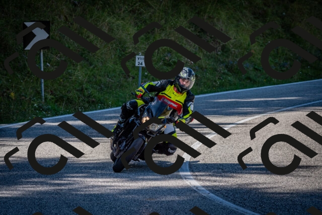 202509061241-DSC_1537_c2