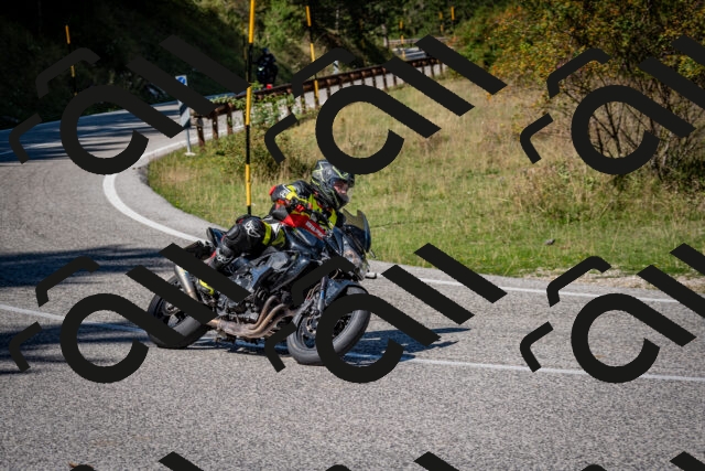 202509061241-DSC_1538_c2