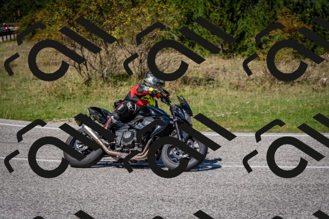 202509061241-DSC_1539_c2