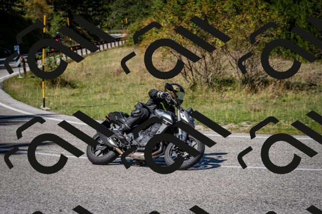 202509061241-DSC_1541_c2