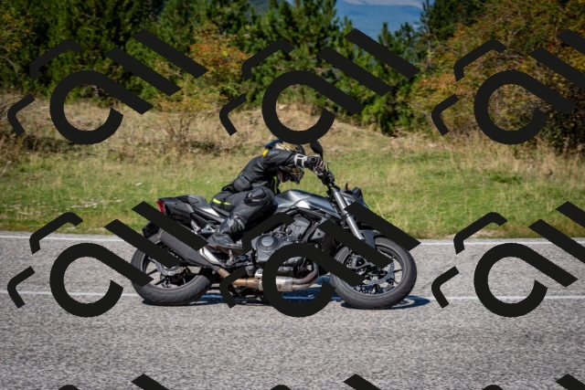 202509061241-DSC_1542_c2