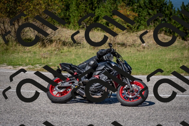 202509061242-DSC_1544_c2