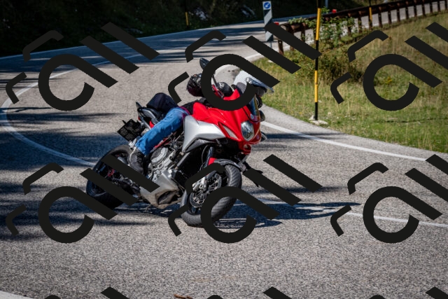 202509061242-DSC_1545_c2