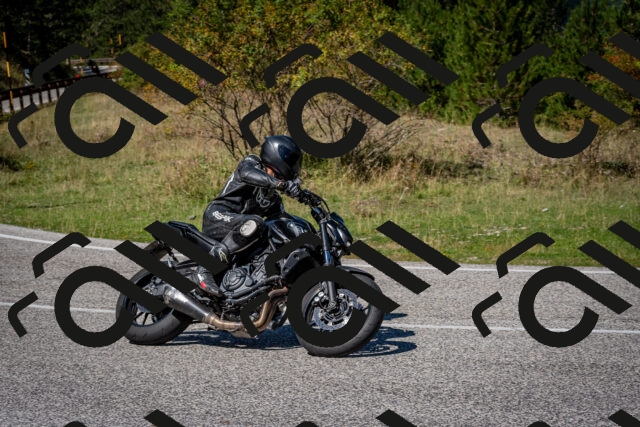 202509061242-DSC_1547_c2