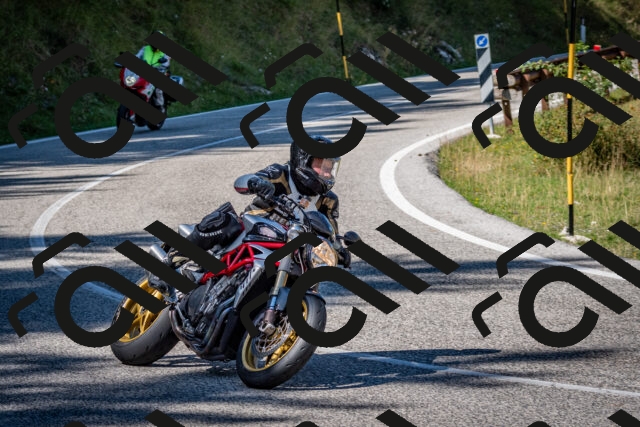 202509061242-DSC_1553_c2