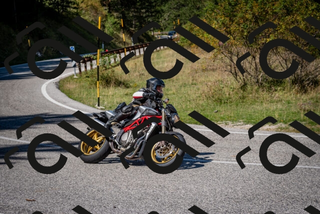 202509061242-DSC_1554_c2