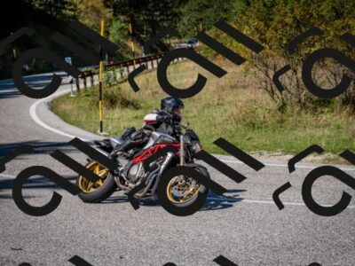 202509061242-DSC_1554_c2