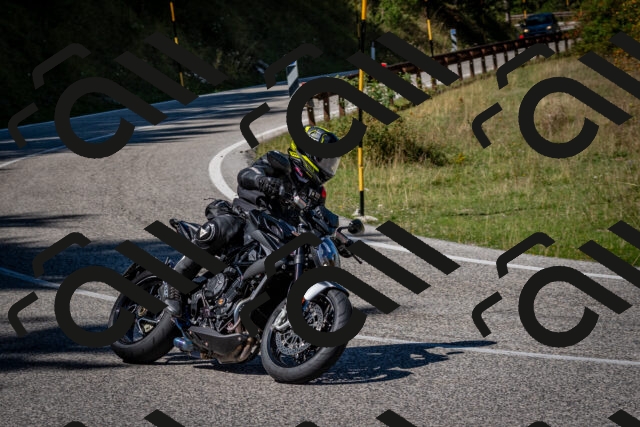 202509061242-DSC_1555_c2