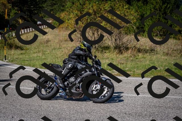 202509061242-DSC_1556_c2