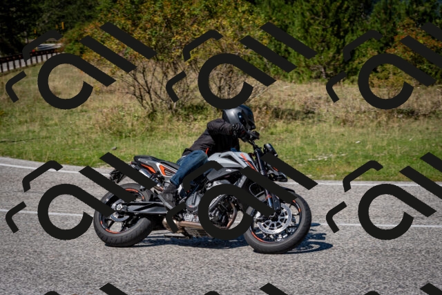 202509061242-DSC_1562_c2