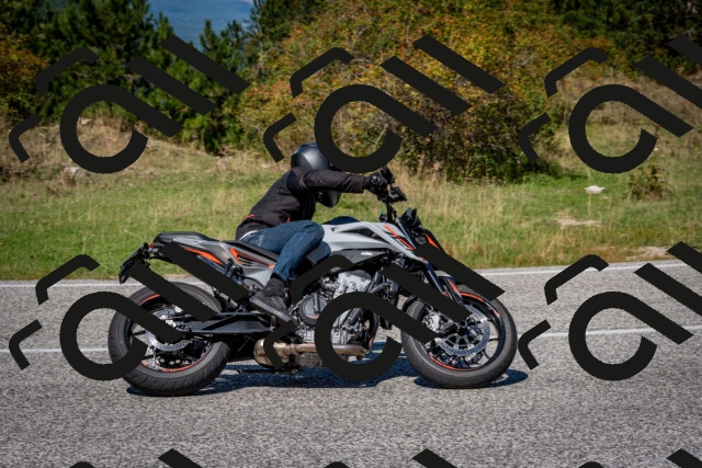 202509061242-DSC_1563_c2