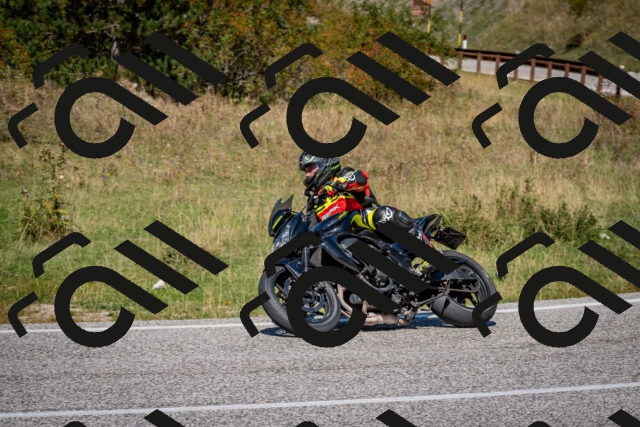 202509061242-DSC_1565_c2