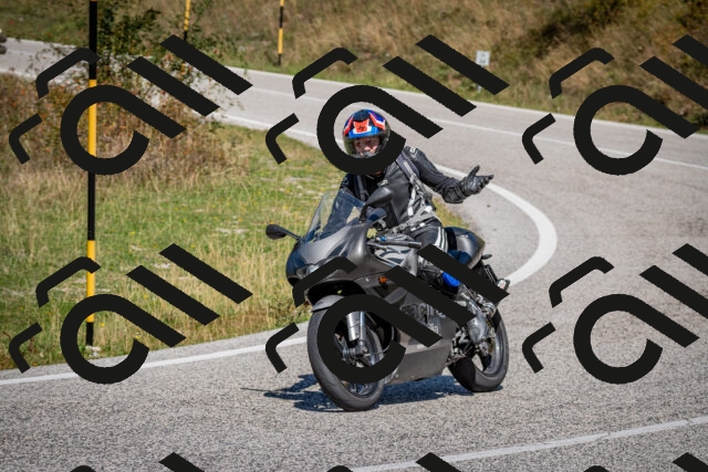 202509061242-DSC_1567_c2