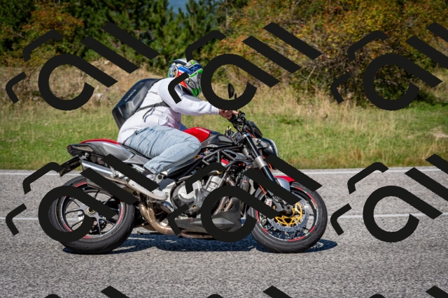 202509061243-DSC_1585_c2