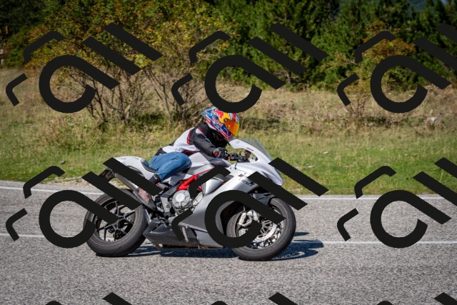 202509061243-DSC_1587_c2