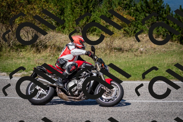 202509061243-DSC_1593_c2