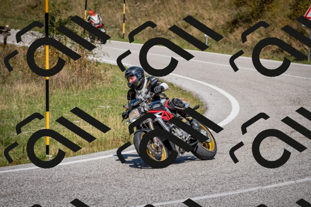 202509061243-DSC_1594_c2