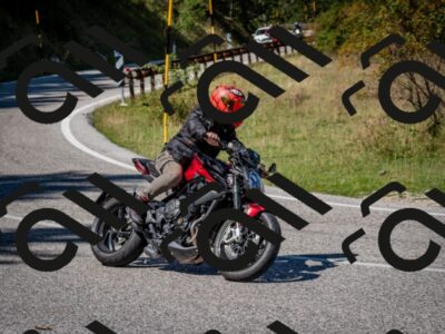 202509061244-DSC_1596_c2