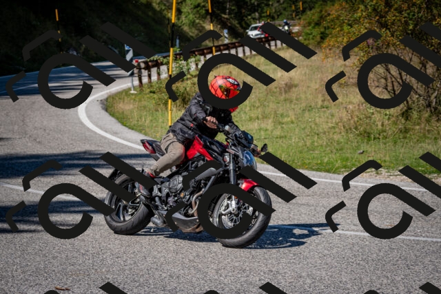 202509061244-DSC_1596_c2