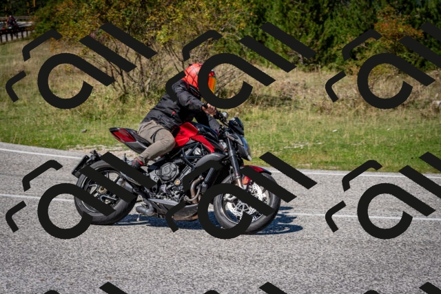 202509061244-DSC_1597_c2