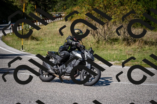 202509061244-DSC_1604_c2