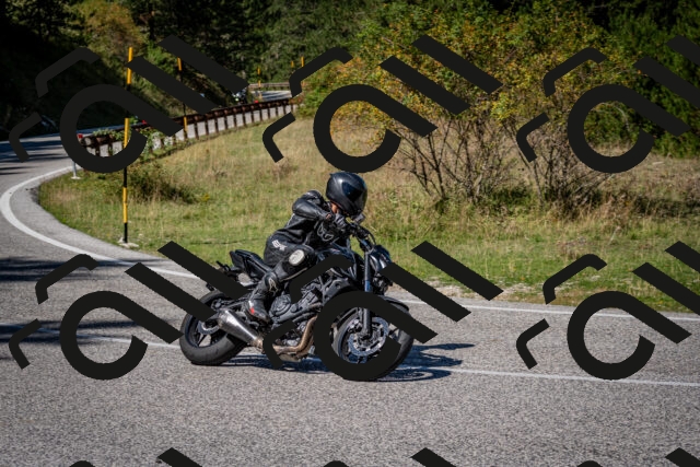 202509061244-DSC_1605_c2