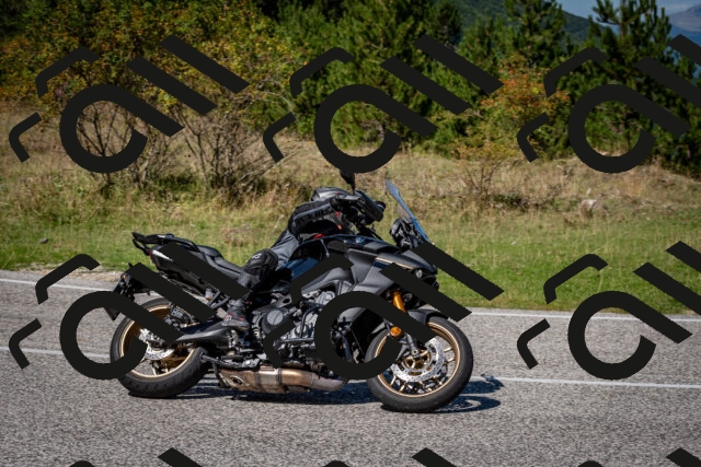 202509061244-DSC_1607_c2