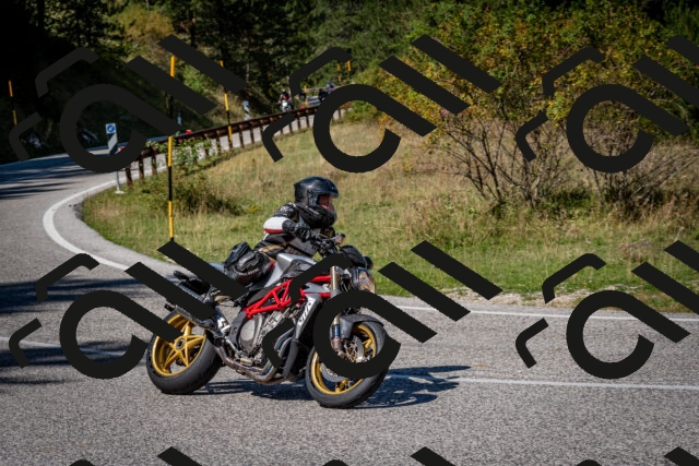 202509061244-DSC_1614_c2