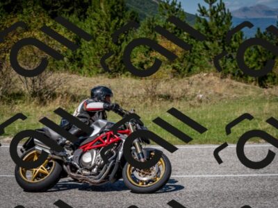 202509061244-DSC_1615_c2