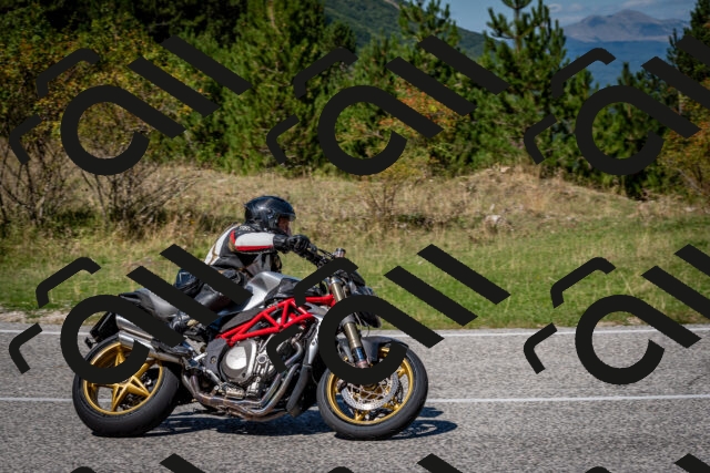 202509061244-DSC_1615_c2