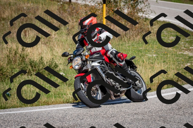 202509061244-DSC_1617_c2