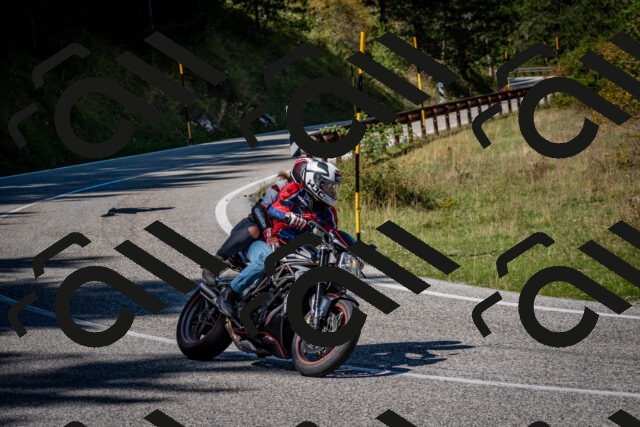 202509061244-DSC_1624_c2