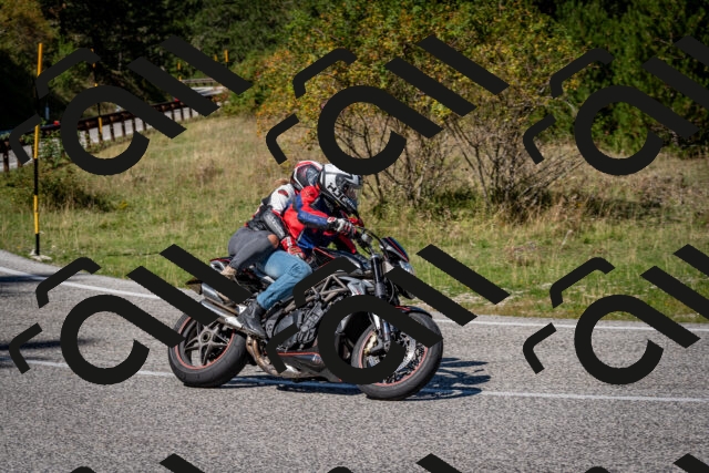 202509061244-DSC_1625_c2