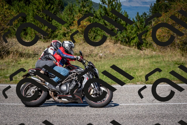 202509061244-DSC_1626_c2