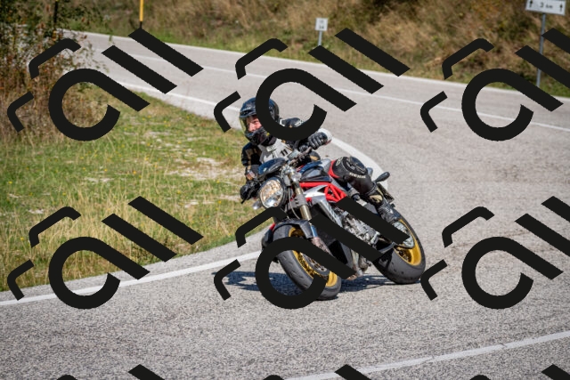 202509061245-DSC_1632_c2