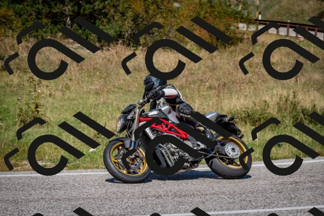 202509061245-DSC_1633_c2