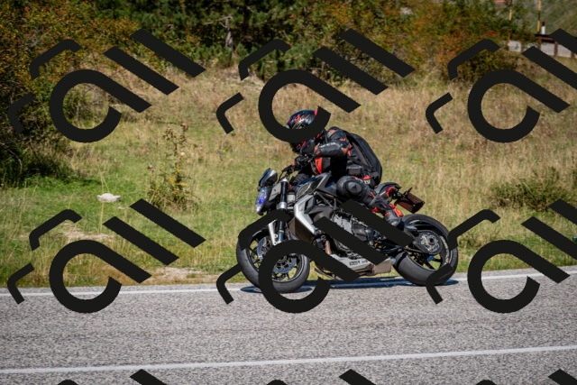 202509061245-DSC_1635_c2