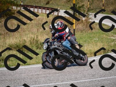 202509061245-DSC_1638_c2