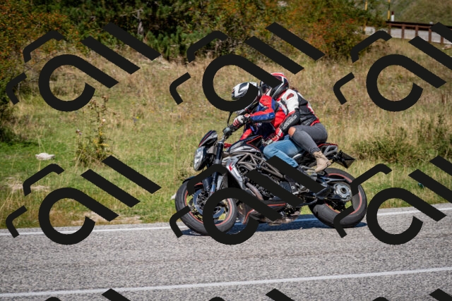 202509061245-DSC_1639_c2