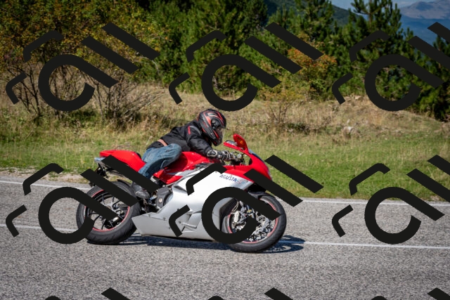 202509061245-DSC_1643_c2