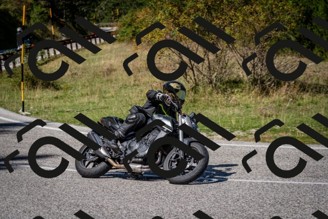 202509061245-DSC_1652_c2