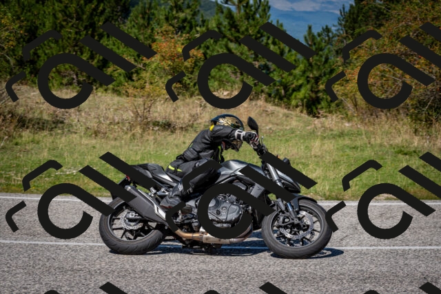 202509061245-DSC_1653_c2