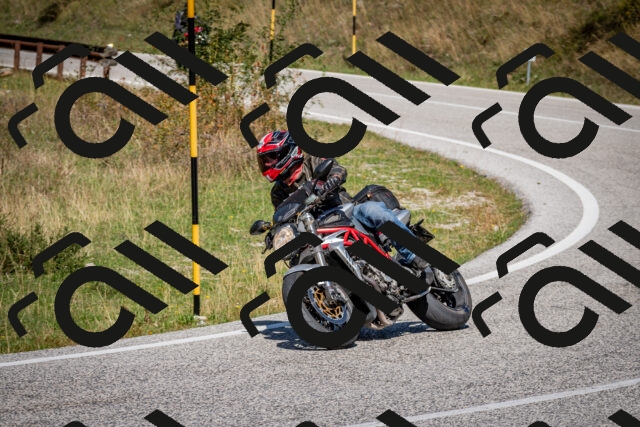 202509061246-DSC_1659_c2