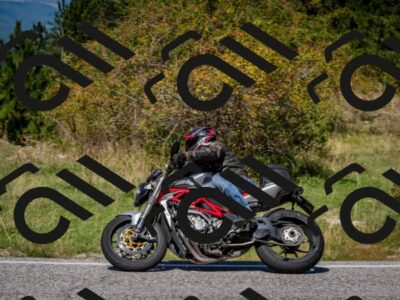 202509061246-DSC_1661_c2