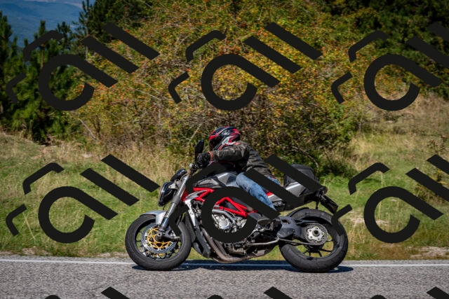 202509061246-DSC_1661_c2