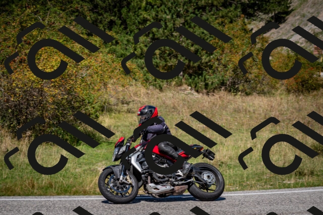 202509061246-DSC_1664_c2