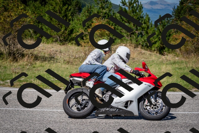 202509061246-DSC_1665_c2