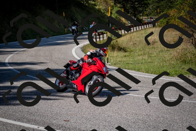 202509061246-DSC_1667_c2