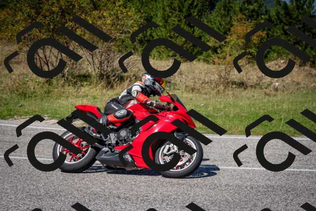 202509061246-DSC_1668_c2